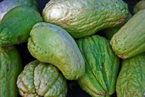 chayote-389574_1280